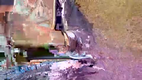 nxcluwkttafk online show from 12, 11, 2025