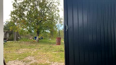 Nicol online show from 19, 9, 2025