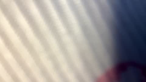 Nicol online show from 25, 9, 2025