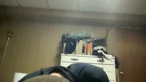 Snapshot of nyyanks232 chatting on 22, 3, 2026 harvestmoon online show from 22, 3, 2026