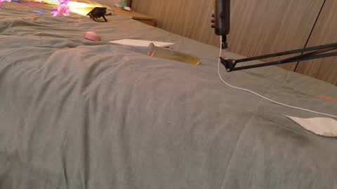 Snapshot of ocean_your_squirter chatting on 11, 2, 2025 Your Ocean baby 3 online show from 11, 2, 2025