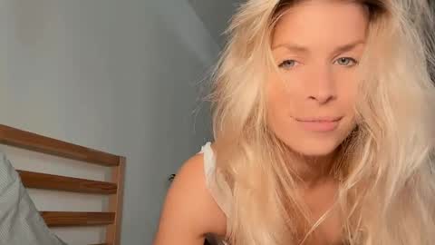 ocicatcat online show from 24, 4, 2026