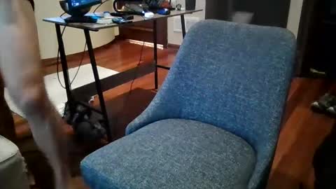 Sky online show from 20, 12, 2024