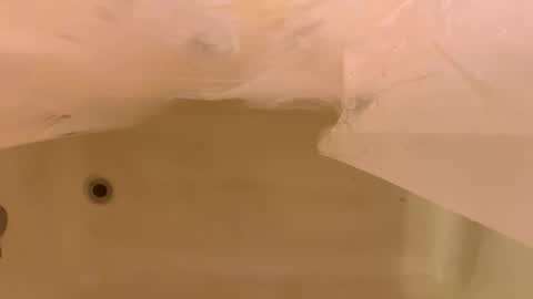 Snapshot of odinstone chatting on 6, 1, 2026 Odin Stone online show from 6, 1, 2026