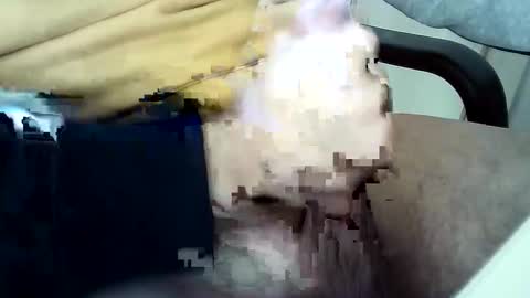 Snapshot of officersex_y chatting on 23, 11, 2025 officersex y online show from 23, 11, 2025