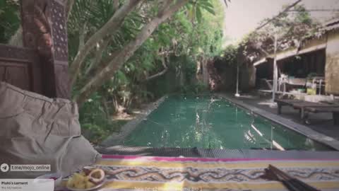 Mo online show from 11, 11, 2025