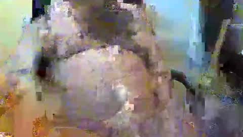 William online show from 2, 11, 2025