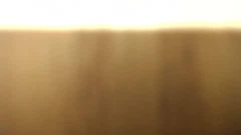 Snapshot of okoro1212 chatting on 28, 11, 2025 okoro1212 online show from 28, 11, 2025