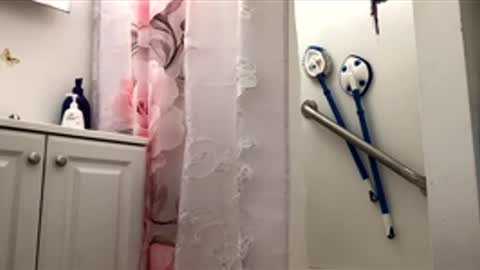 olivertwist1273 online show from 26, 4, 2026