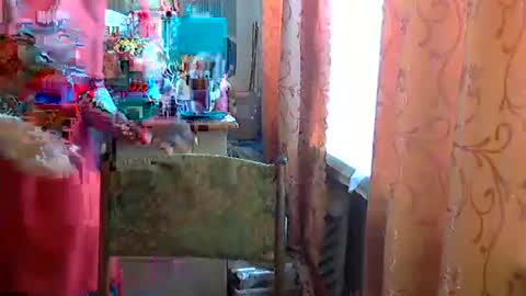 Olivia Mia online show from 24, 4, 2026