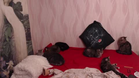 Olivia online show from 5, 2, 2025