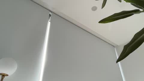 Olivia Brookes online show from 27, 11, 2025