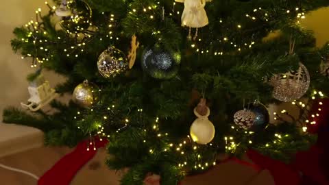    or    online show from 3, 12, 2024