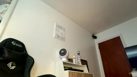 onedayonedollar online show from 1, 8, 2026