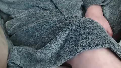 Butch online show from 20, 2, 2025