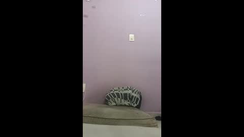 oneninjaone online show from 4, 2, 2026