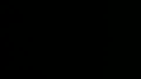 oooxxxrrr online show from 14, 12, 2024