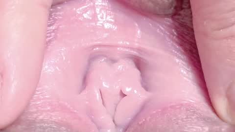 orchidekitty online show from 1, 4, 2026