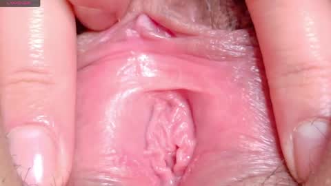 orchidekitty online show from 29, 4, 2026