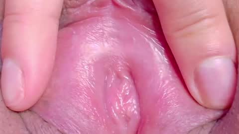 orchidekitty online show from 5, 6, 2026