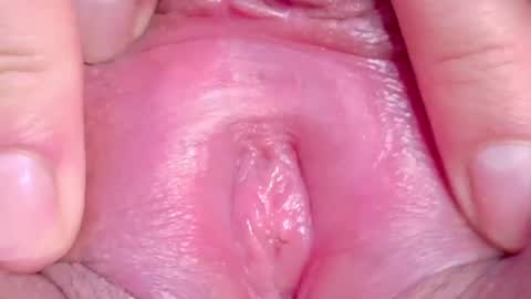 orchidekitty online show from 11, 6, 2026