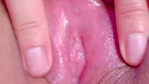 orchidekitty online show from 14, 6, 2026