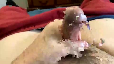 Super Soaker Oreo World online show from 30, 12, 2024