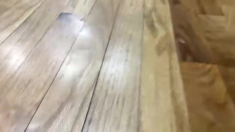 Super Soaker Oreo World online show from 11, 11, 2025