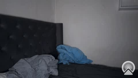 origamicat online show from 6, 2, 2025