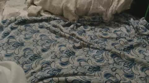 originalcali95 online show from 2, 2, 2026