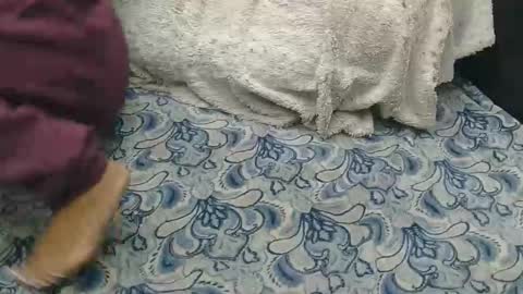 originalcali95 online show from 14, 2, 2026