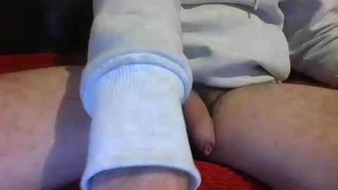 Snapshot of ornytologist chatting on 17, 1, 2025 ornytologist online show from 17, 1, 2025