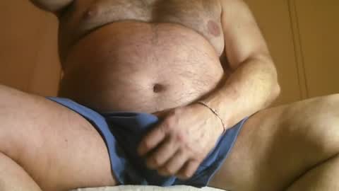 Oso Licencioso online show from 29, 9, 2025