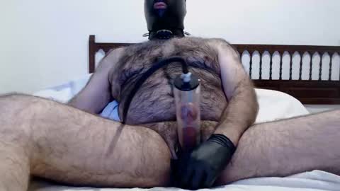 OsoTFSur online show from 12, 4, 2026