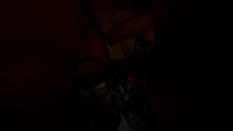 otterfodder144 online show from 29, 4, 2026