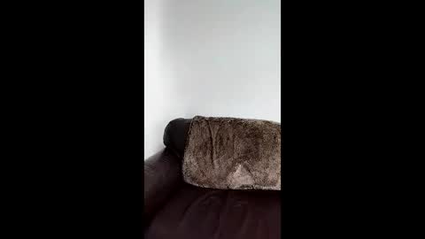 Owen kayz online show from 31, 3, 2026