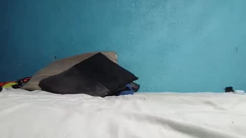 packo7777 online show from 30, 4, 2026