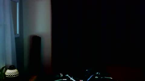 pale_dad_bod online show from 14, 12, 2025