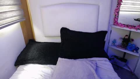 Palmer online show from 4, 3, 2025