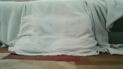 palmerwoodx online show from 2, 2, 2026