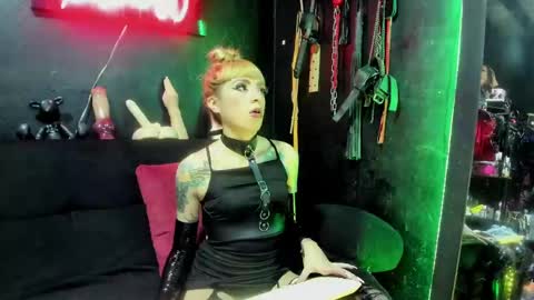 Paloma online show from 11, 2, 2025