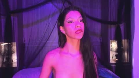  P A M  online show from 11, 1, 2026