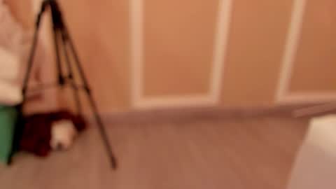 pamelamendez_1 online show from 27, 2, 2026