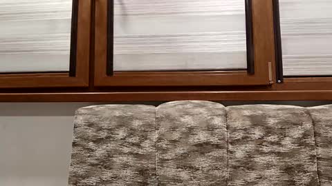 Snapshot of pamid215 chatting on 14, 1, 2025 angel hris online show from 14, 1, 2025