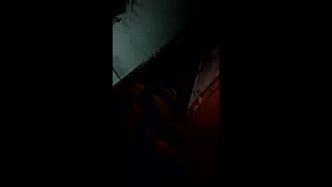 Snapshot of pamid215 chatting on 9, 11, 2025 angel hris online show from 9, 11, 2025