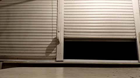 Snapshot of pamid215 chatting on 24, 11, 2025 angel hris online show from 24, 11, 2025