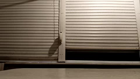 Snapshot of pamid215 chatting on 3, 12, 2025 angel hris online show from 3, 12, 2025