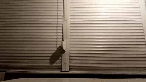 Snapshot of pamid215 chatting on 13, 1, 2026 angel hris online show from 13, 1, 2026