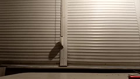 Snapshot of pamid215 chatting on 14, 1, 2026 angel hris online show from 14, 1, 2026