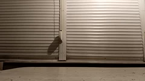 Snapshot of pamid215 chatting on 6, 2, 2026 angel hris online show from 6, 2, 2026